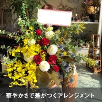 アレンジメント XXL  [お届け可能エリア：豊橋市・浜松市]