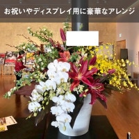 アレンジメント XXXL [お届け可能エリア：豊橋市・浜松市]