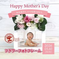 【全国配送可能・送料無料】母の日ギフトに、プリザーブドフラワーのフォトフレーム