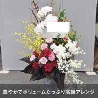 アレンジメント XXXXL [お届け可能エリア：豊橋市・浜松市]
