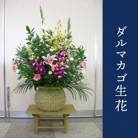 お供えダルマカゴ生花　 [お届け可能エリア：豊橋市・浜松市]