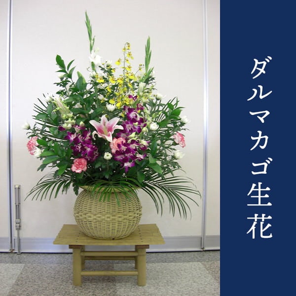 お供えダルマカゴ生花　 [お届け可能エリア：豊橋市・浜松市]