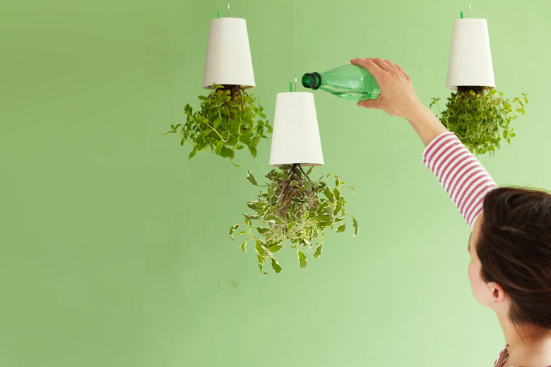 skyplanter スカイプランター