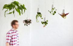 skyplanter スカイプランター
