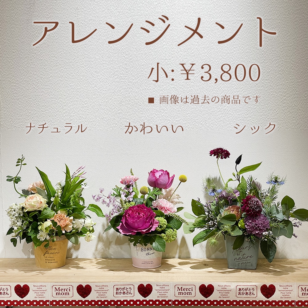 【母の日】選べる母の日ギフト/アレンジメント・フラワーボックス【宅配便配送・送料別】