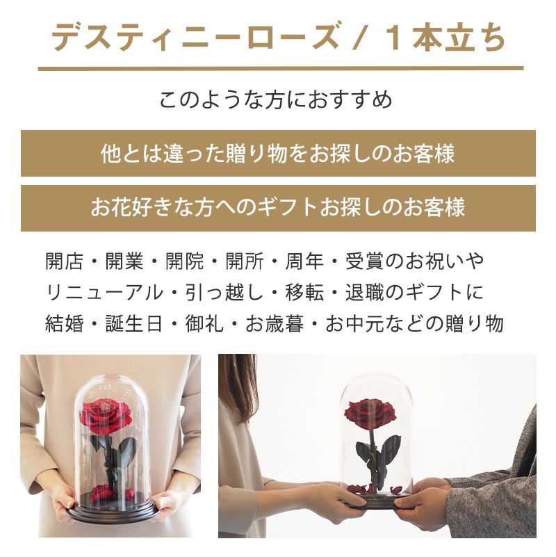 【全国配送可能・送料無料】 デスティニーローズ 【１本立ち】 プリザーブドフラワー
