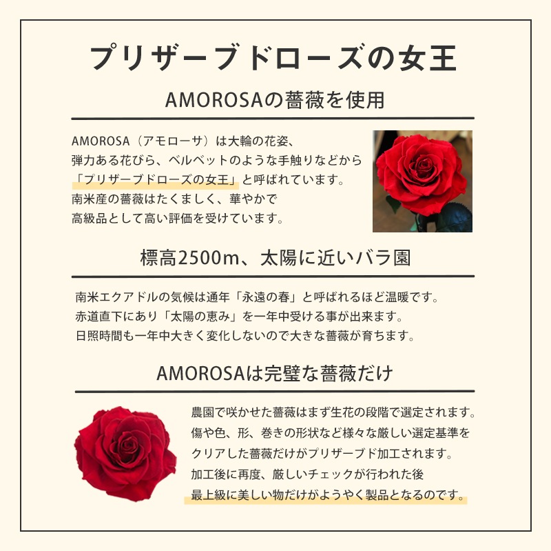 【全国配送可能・送料無料】 デスティニーローズ 【５本立ち】 プリザーブドフラワー