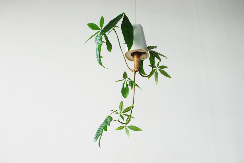 skyplanter スカイプランター