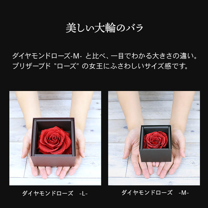 【全国配送可能・送料無料】 ダイヤモンドローズ [M] プリザーブドフラワー