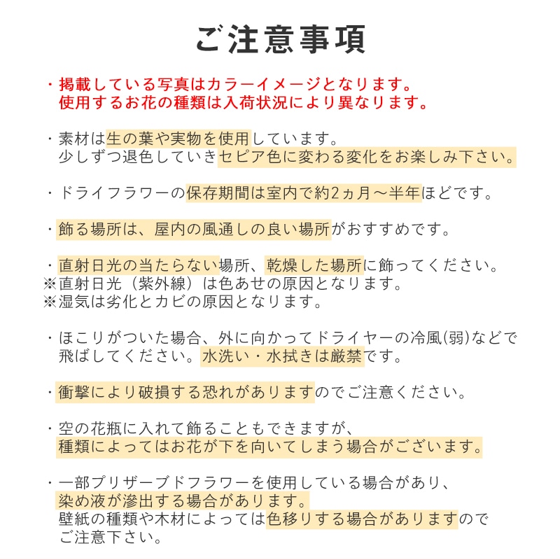 【全国発送可能・送料別】ドライフラワースワッグ L