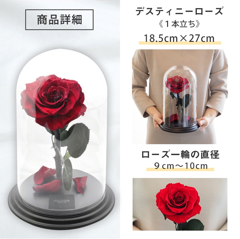 【全国配送可能・送料無料】 デスティニーローズ 【１本立ち】 プリザーブドフラワー