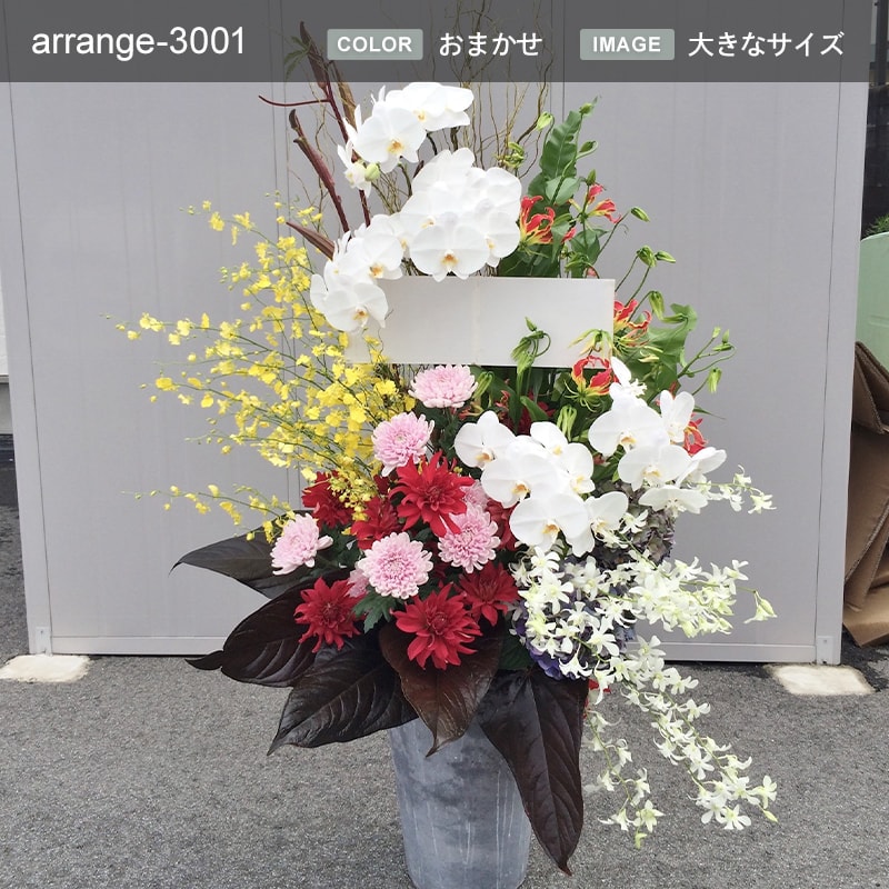 アレンジメント XXXXL [お届け可能エリア：豊橋市・浜松市]