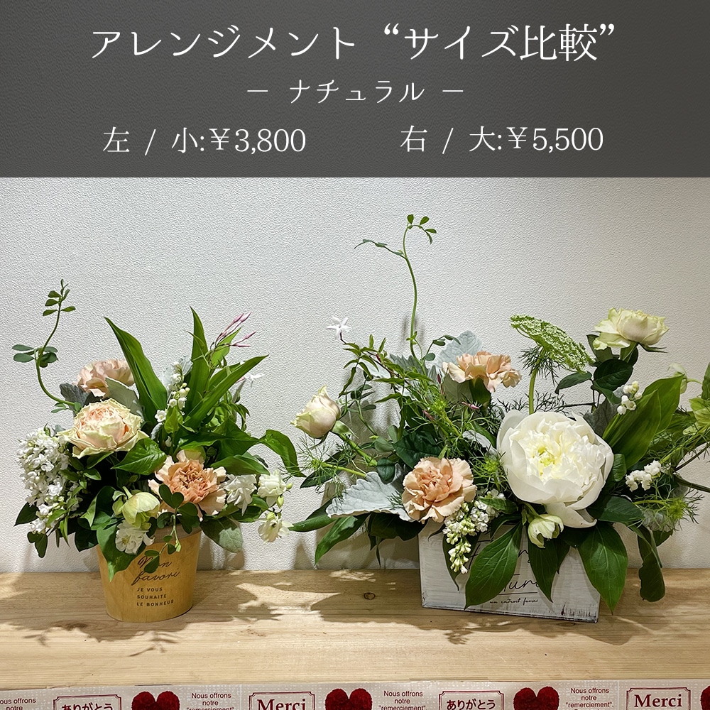 【母の日】選べる母の日ギフト/アレンジメント・フラワーボックス【宅配便配送・送料別】