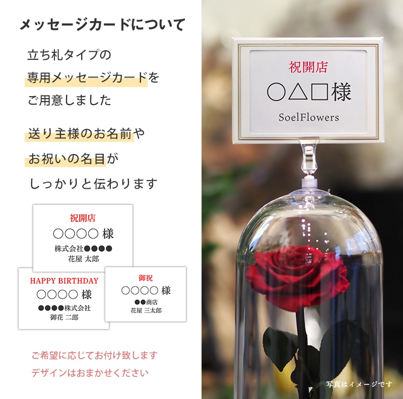 【全国配送可能・送料無料】 デスティニーローズ 【１本立ち】 プリザーブドフラワー
