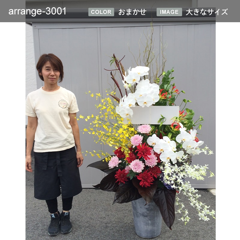 アレンジメント XXXXL [お届け可能エリア：豊橋市・浜松市]
