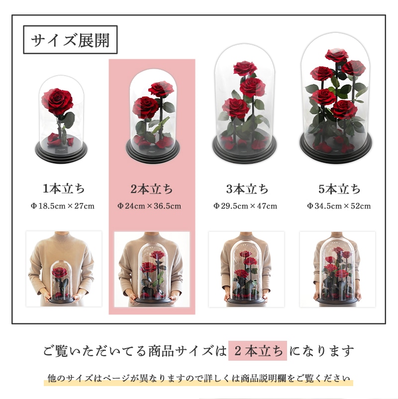 【全国配送可能・送料無料】 デスティニーローズ 【２本立ち】 プリザーブドフラワー