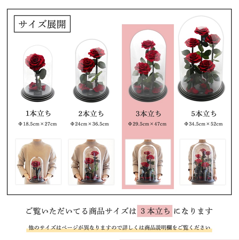 【全国配送可能・送料無料】 デスティニーローズ 【３本立ち】 プリザーブドフラワー