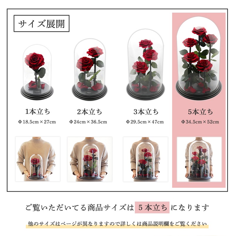 【全国配送可能・送料無料】 デスティニーローズ 【５本立ち】 プリザーブドフラワー