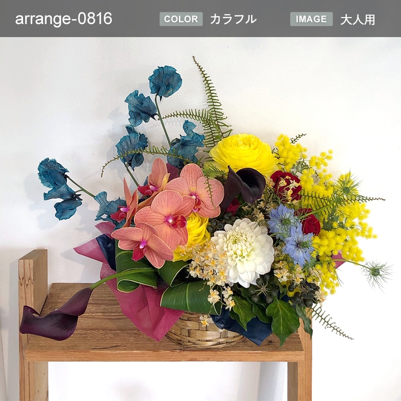 アレンジメント L [お届け可能エリア：豊橋市・浜松市]