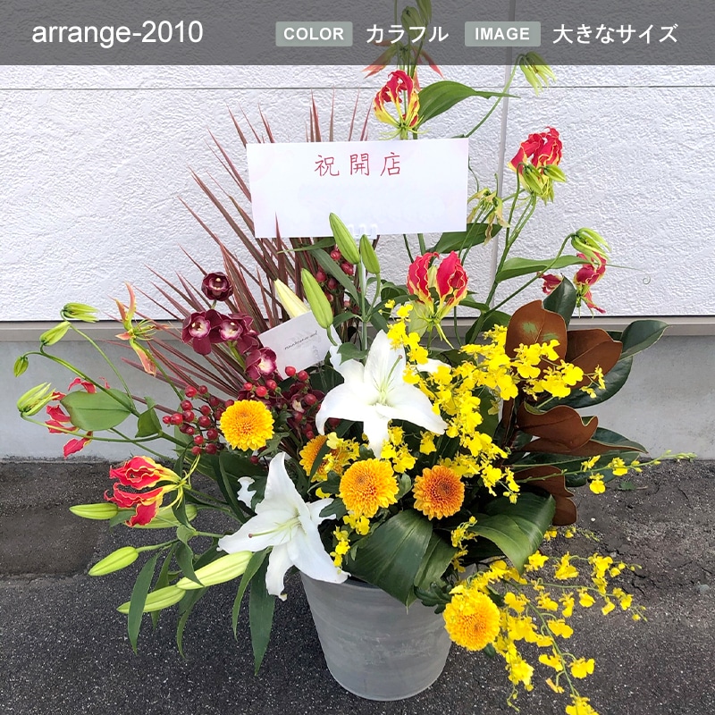 アレンジメント XXXL [お届け可能エリア：豊橋市・浜松市]