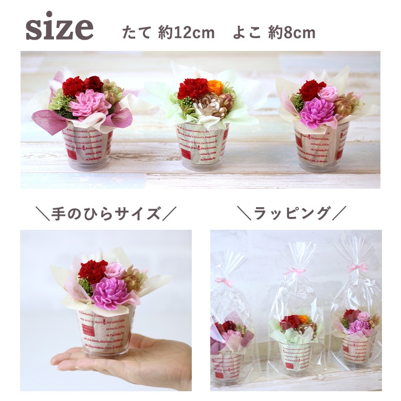 【全国配送可能・送料無料】 ショコラカップ （プリザーブドフラワー）