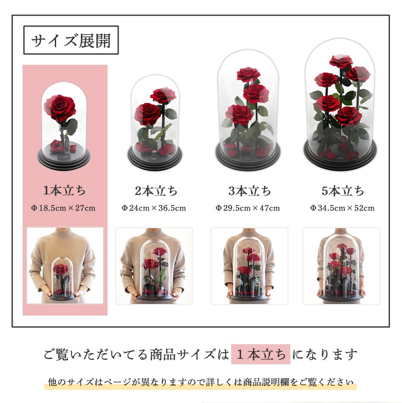 【全国配送可能・送料無料】 デスティニーローズ 【１本立ち】 プリザーブドフラワー