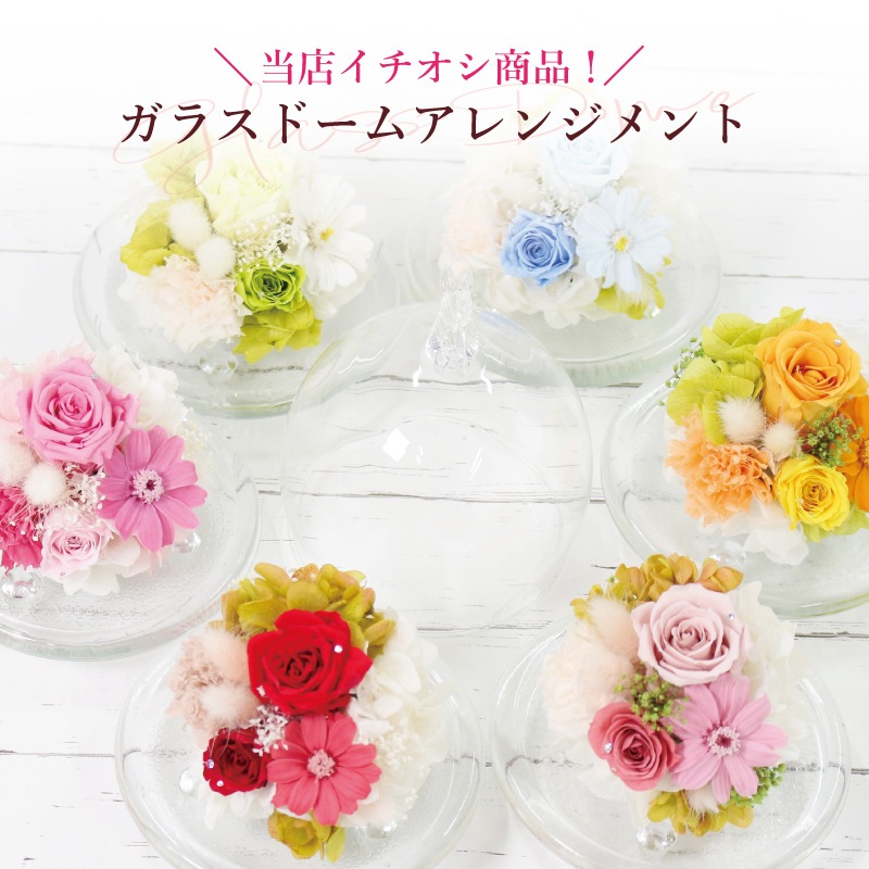【全国配送可能・送料無料】  ガラスドームアレンジ -RABISS- (プリザーブドフラワー)