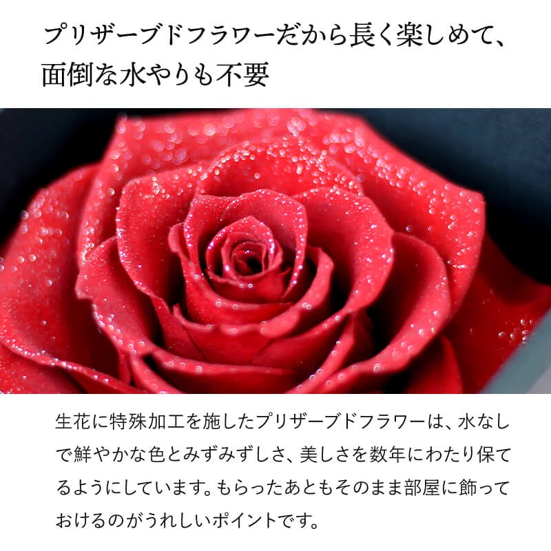 【全国配送可能・送料無料】 ダイヤモンドローズ ［L］ プリザーブドフラワー