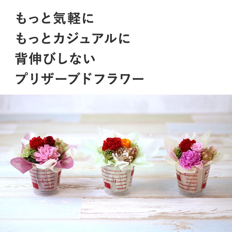 【全国配送可能・送料無料】 ショコラカップ （プリザーブドフラワー）