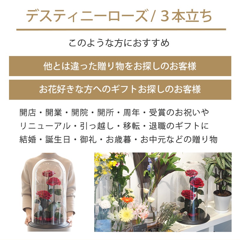 【全国配送可能・送料無料】 デスティニーローズ 【３本立ち】 プリザーブドフラワー