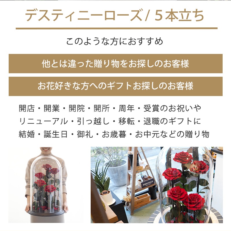 【全国配送可能・送料無料】 デスティニーローズ 【５本立ち】 プリザーブドフラワー