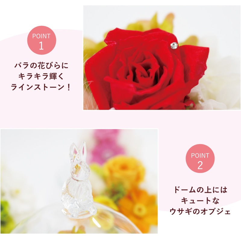 【全国配送可能・送料無料】  ガラスドームアレンジ -RABISS- (プリザーブドフラワー)