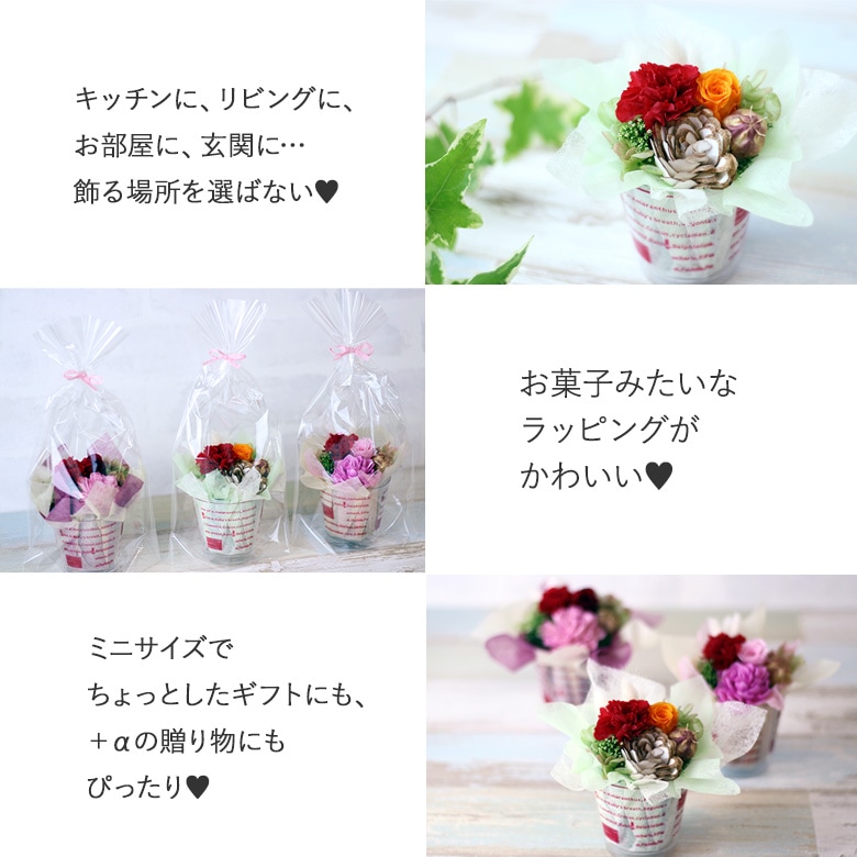【全国配送可能・送料無料】 ショコラカップ （プリザーブドフラワー）
