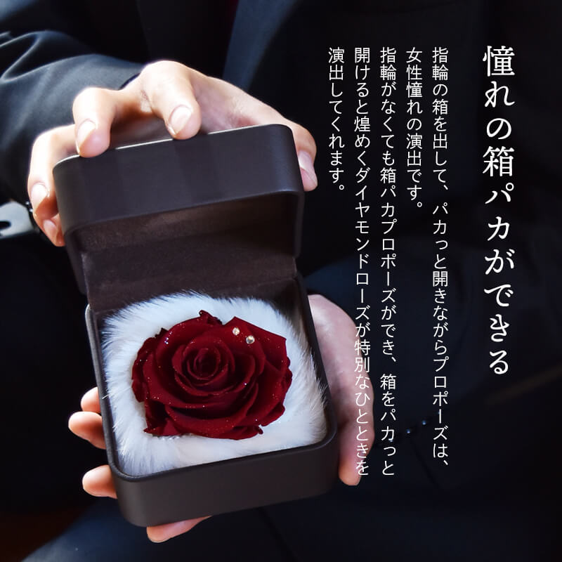 【全国配送可能・送料無料】 ダイヤモンドローズ [Lレザー] プリザーブドフラワー