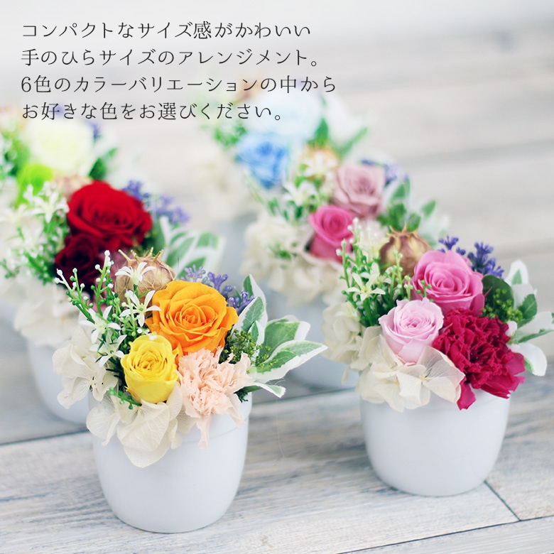【全国配送可能・送料無料】 プチアレンジメント （プリザーブドフラワー）