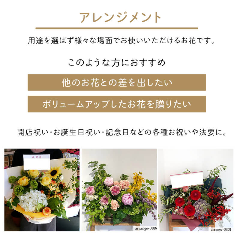 アレンジメント L [お届け可能エリア：豊橋市・浜松市]