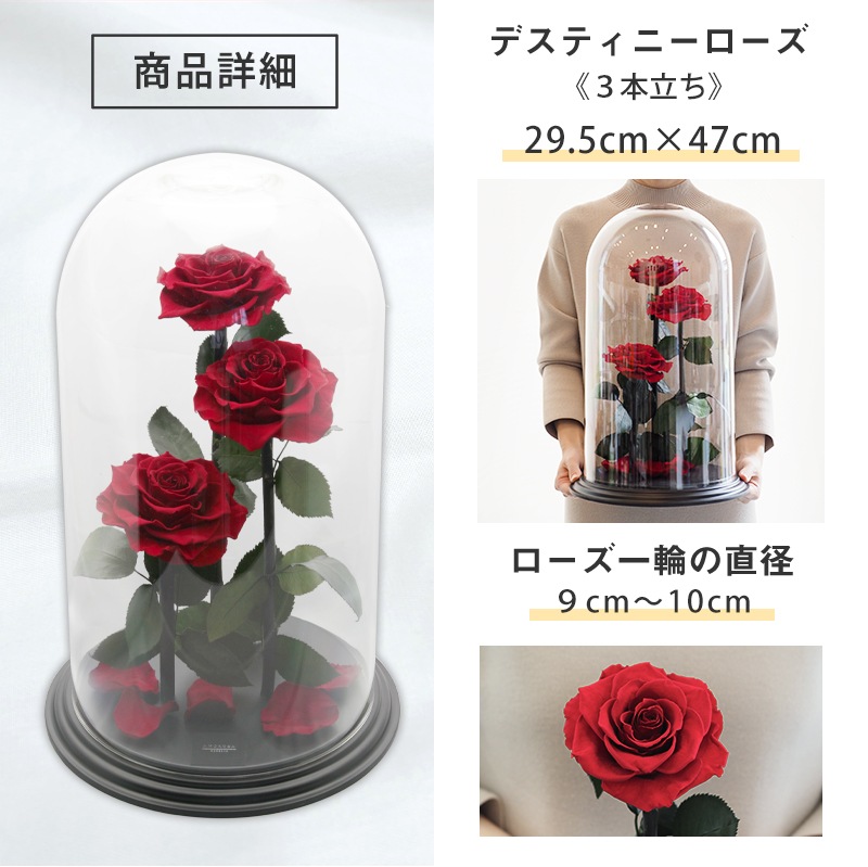 【全国配送可能・送料無料】 デスティニーローズ 【３本立ち】 プリザーブドフラワー