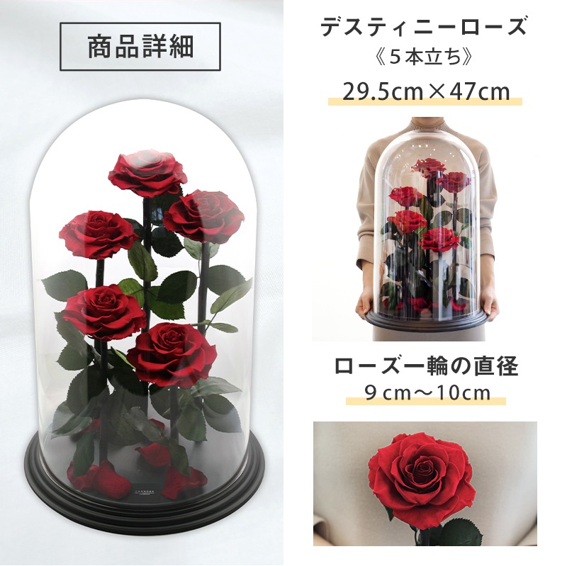 【全国配送可能・送料無料】 デスティニーローズ 【５本立ち】 プリザーブドフラワー