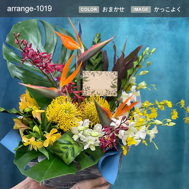 アレンジメント XL  [お届け可能エリア：豊橋市・浜松市]