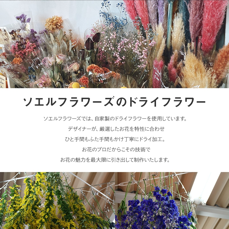 【全国発送可能・送料別】ドライフラワースワッグ L