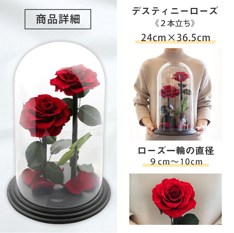 【全国配送可能・送料無料】 デスティニーローズ 【２本立ち】 プリザーブドフラワー