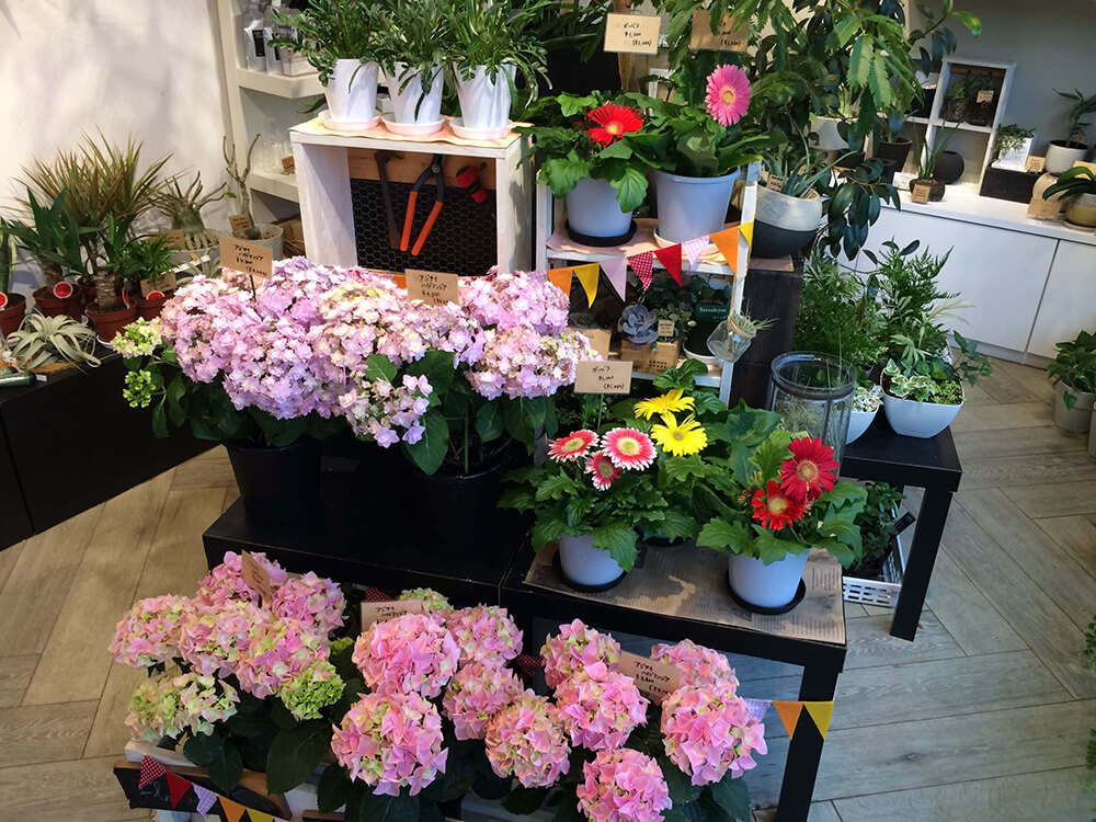  豊橋 Soel Flowers