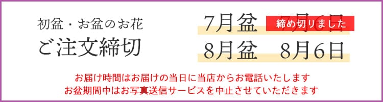 締め切り日
