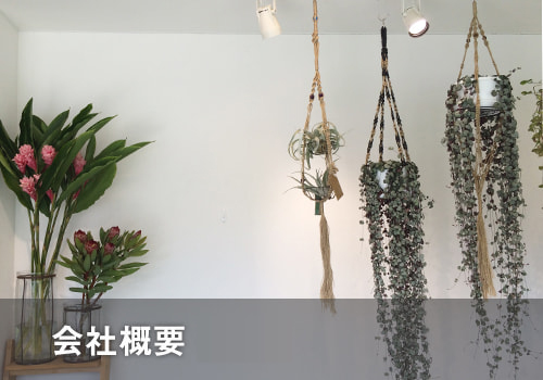 会社概要・沿革