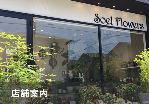 店舗案内