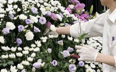 NEW【正社員・未経験OK】生花祭壇・葬儀用生花・各種生花、装花の企画、制作、設営スタッフ募集｜豊橋・浜松の花屋「Soel Flowers/花風舎」