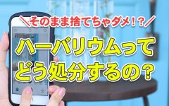 ハーバリウムの処分方法と回収サービスについて