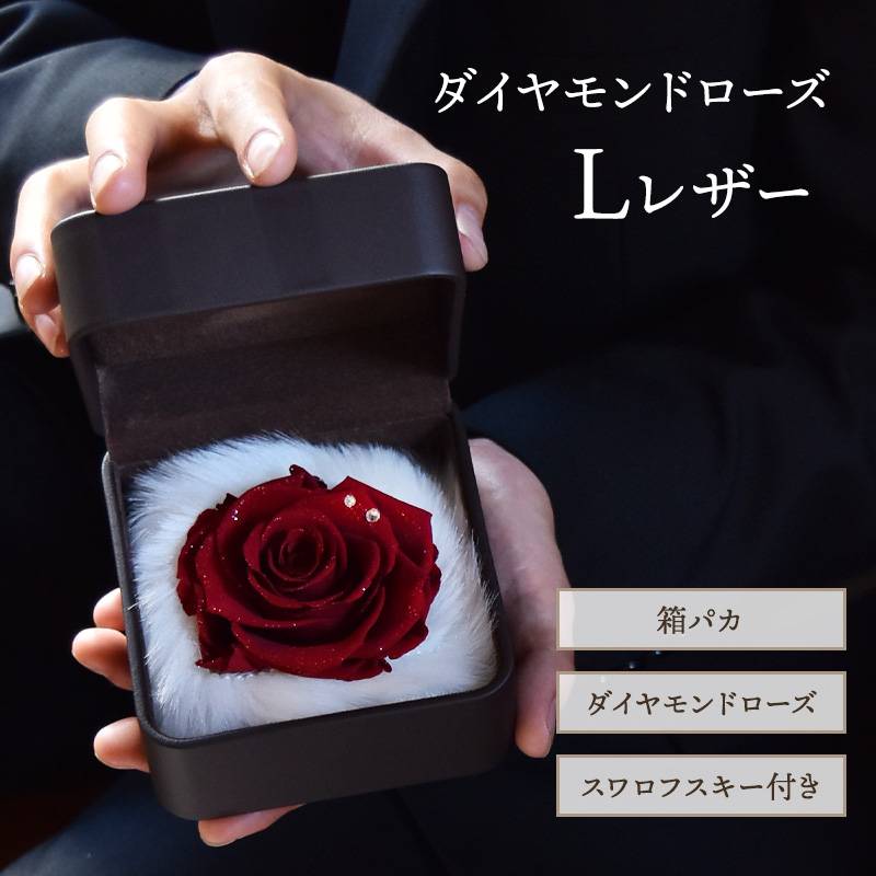 Lレザー