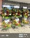スタンド生花 L [お届け可能エリア：豊橋市・浜松市]