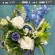 贈り物の定番 アレンジメント M [お届け可能エリア：豊橋市・浜松市]